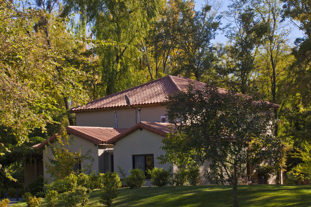 Posada Salentein Los Árboles Oda fotoğraf