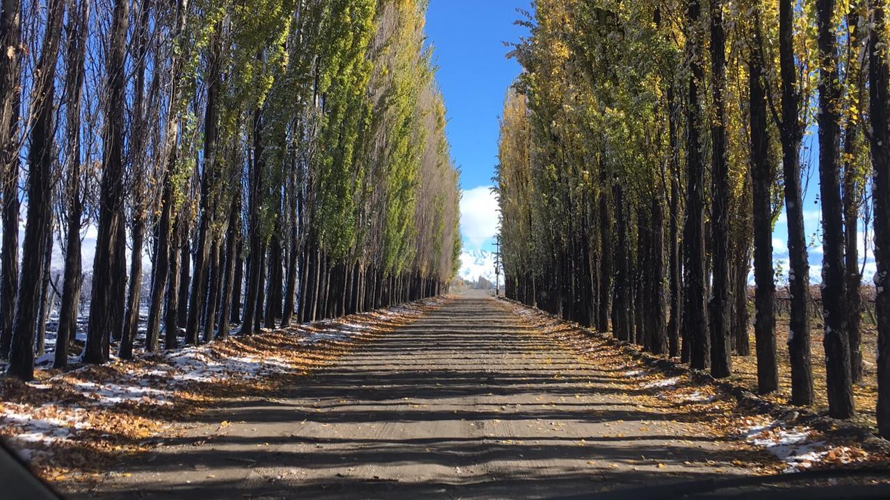 Posada Salentein Los Árboles Dış mekan fotoğraf
