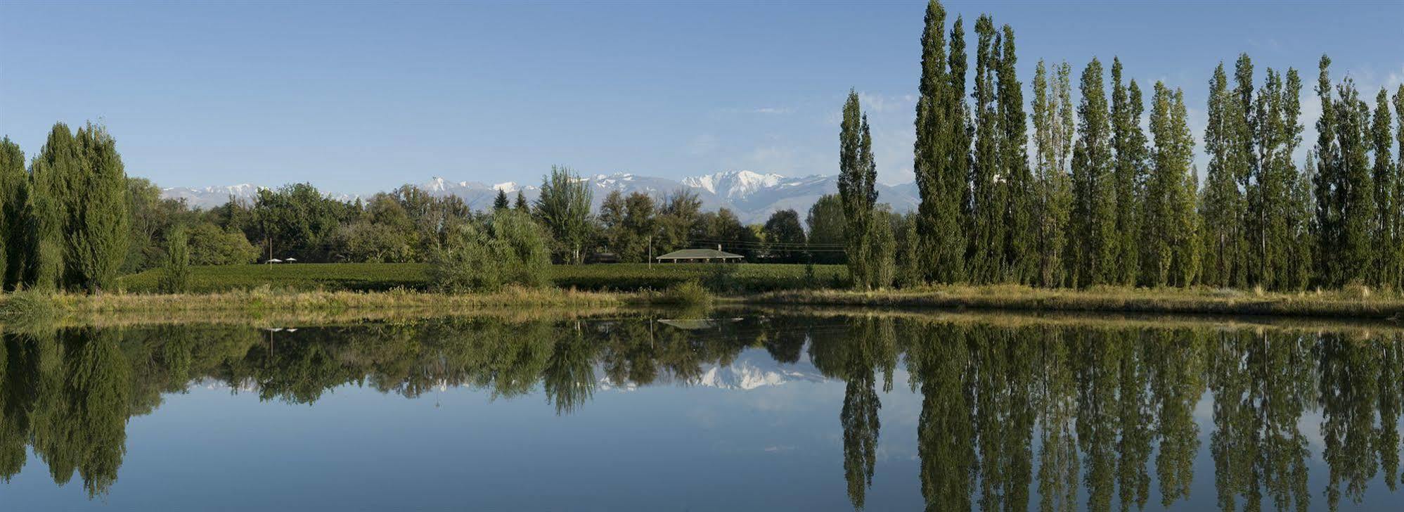 Posada Salentein Los Árboles Dış mekan fotoğraf